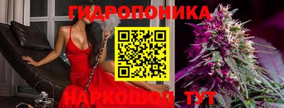 молекула духа Новокубанск